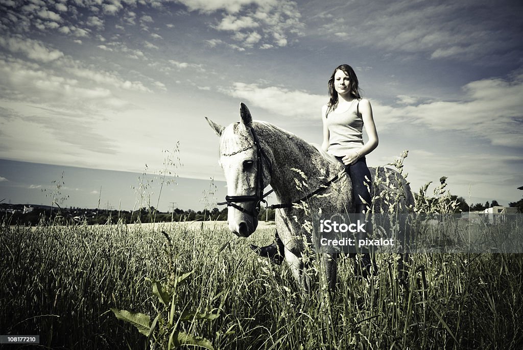 En los campos - Foto de stock de Caballo - Familia del caballo libre de derechos