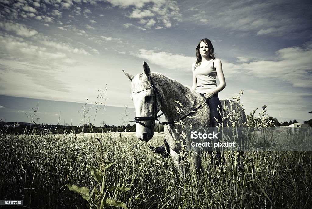 Nos campos - Royalty-free Cavalo - Família do Cavalo Foto de stock