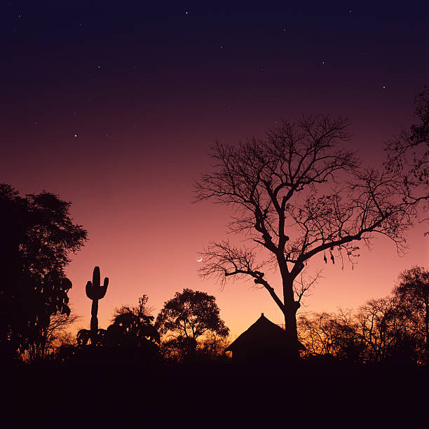 Sunrise in Africa
