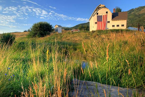 American farm with giant flag in field stock photo