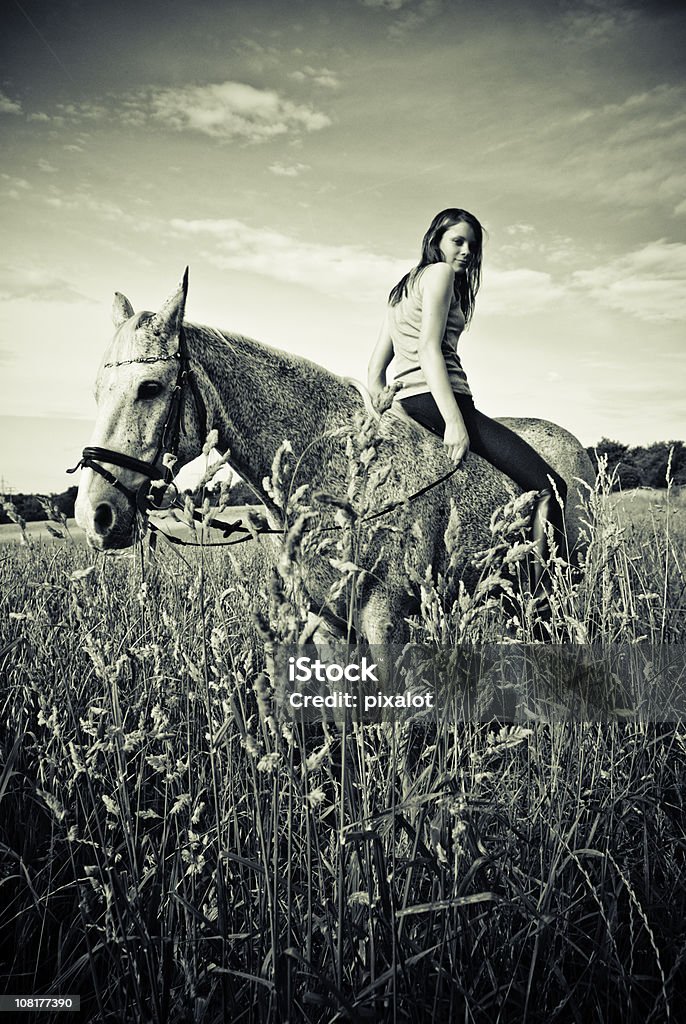 Женщина сидит обратно на лошади - Стоковые фото Задом наперёд роялти-фри