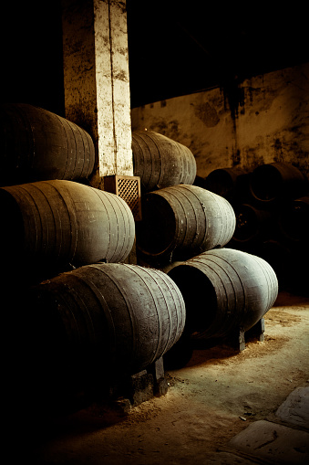 wine oak barrels in a sevillian cellar