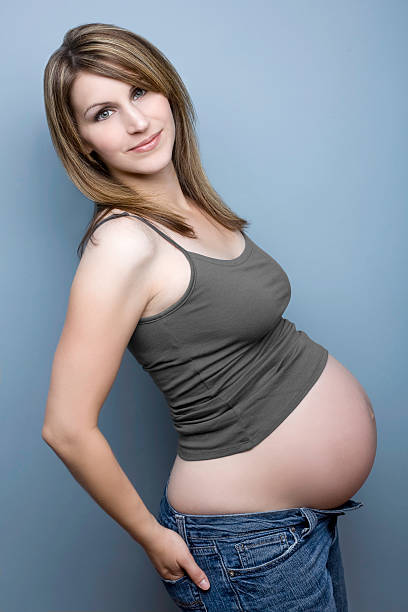 istock Pregnant and sexy 108177496