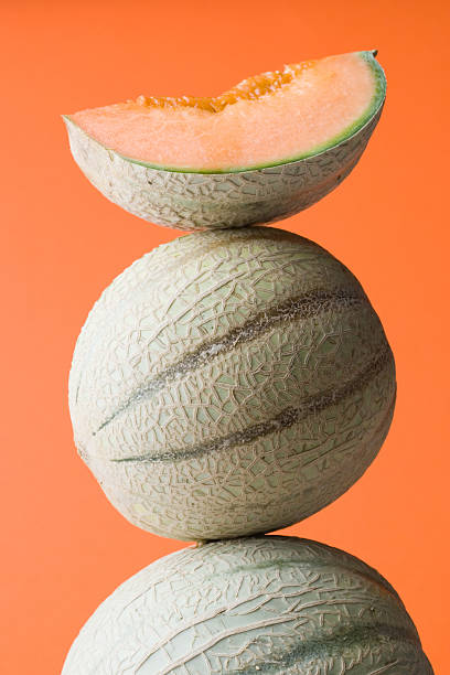 Melon stock photo