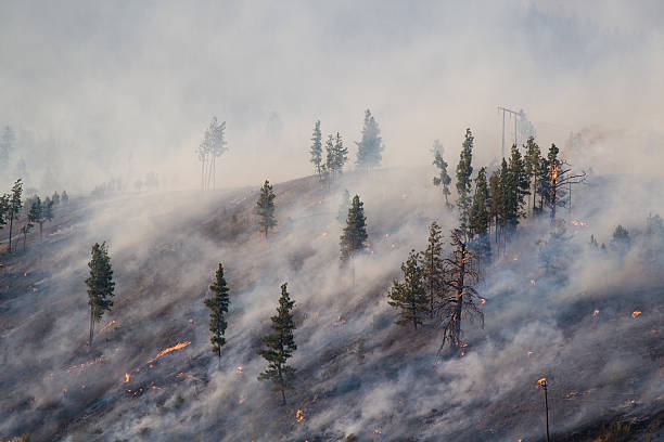 incendios forestales de montana 2007 - wildfire smoke fotografías e imágenes de stock