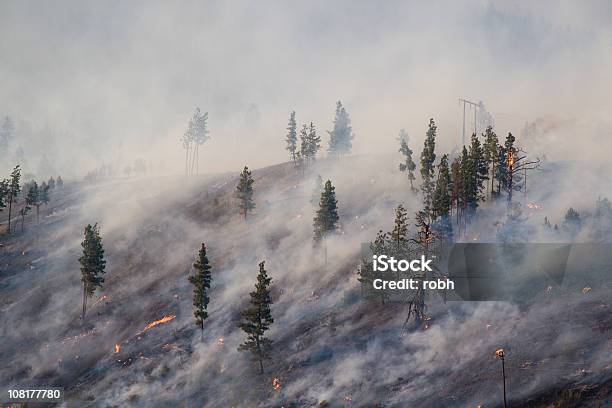 Foto de Montana Incêndio Florestal De 2007 e mais fotos de stock de Incêndio Florestal - Incêndio Florestal, Desastre natural, Montana