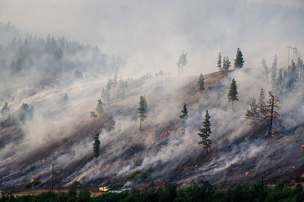 montana forest fire 2007 [ 2 millionth ] archivo de istock - wildfire smoke fotografías e imágenes de stock