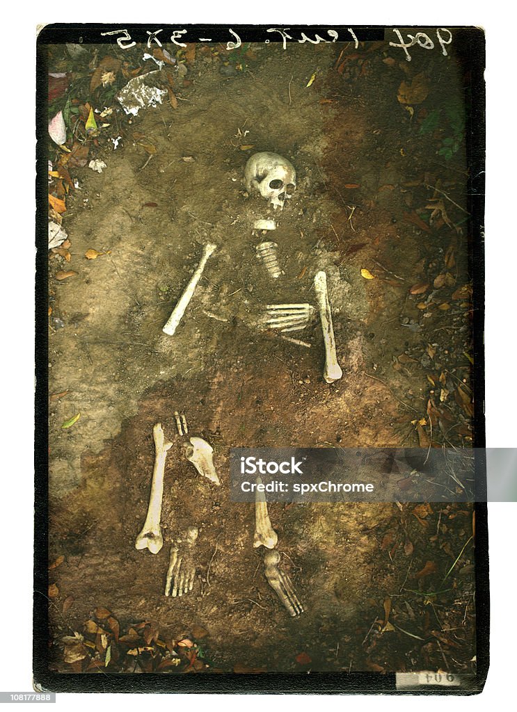 Remains Skeleton Remains. Crime Scene Stock Photo
