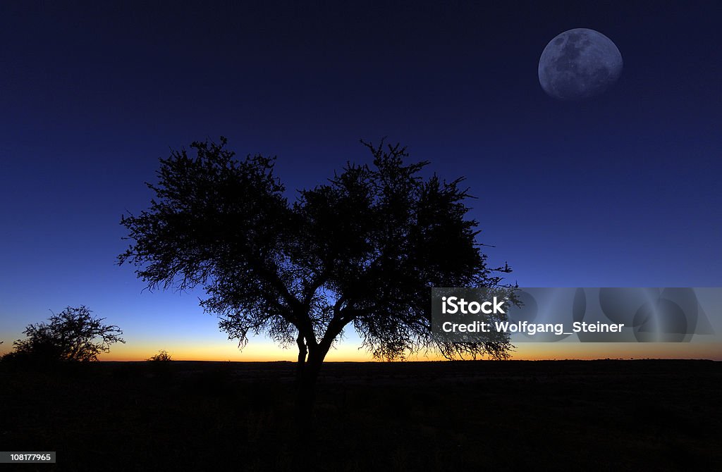 Moon de mashatu - Foto de stock de Aire libre libre de derechos