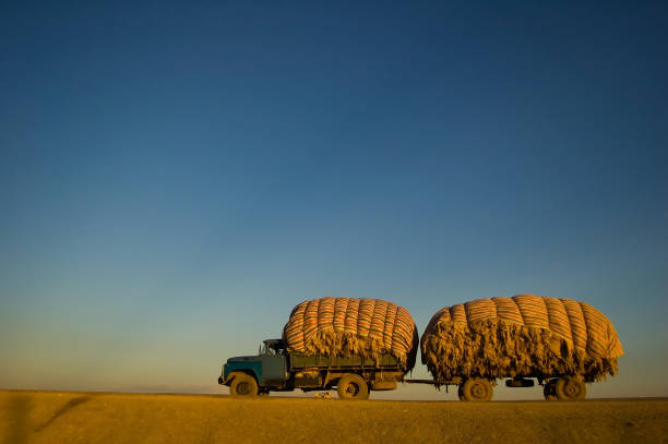 Casimira lã caminhão na estrada plana - foto de acervo