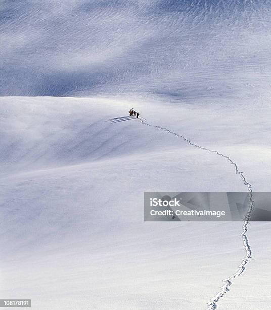 Luftbild Von Menschen Im Schnee Stockfoto und mehr Bilder von Luftaufnahme - Luftaufnahme, Skifahren, Abenteuer