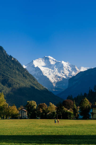 parque de hohematte de campo verde e alpes suíços jungfrau pico de neve - travel vertical tourist switzerland - fotografias e filmes do acervo