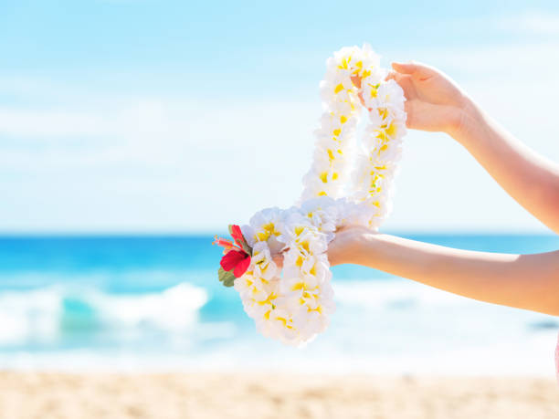 Holding Hawaiian flower lei Welcome flower necklace oahu photos stock pictures, royalty-free photos & images