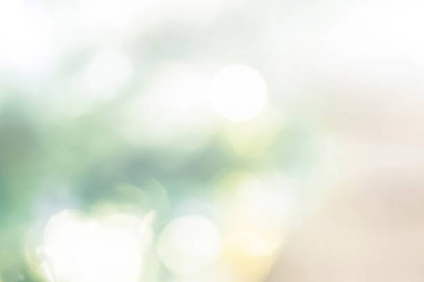 istock Shiny abstract bokeh background, festive theme 1081783442