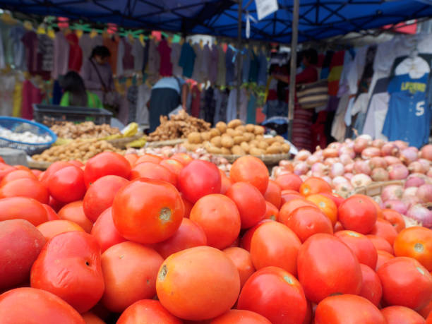 istock Tomatoes on the market 1081786488