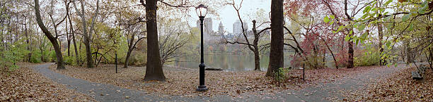 central park rambla outono panorama - ramble - fotografias e filmes do acervo