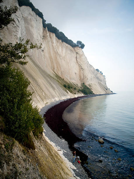 scogliere di moens - white cliffs foto e immagini stock