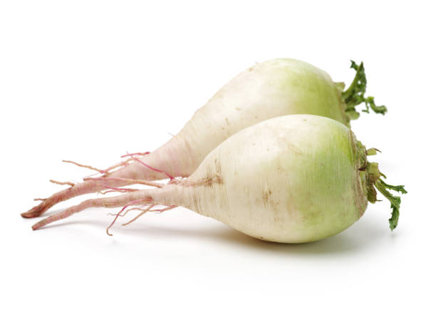 istock Party's royalty radish separated on white background 1081790196