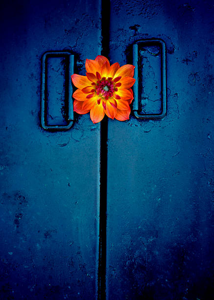 Fire Flower stock photo