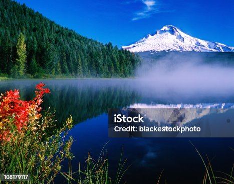 istock Mt Hood Reflected in Foggy Lake on Blue Sky Day 108179117
