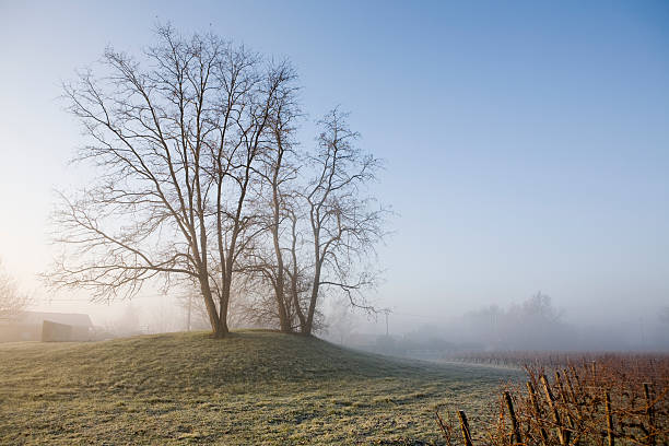 Autumn landscape with frost landscape