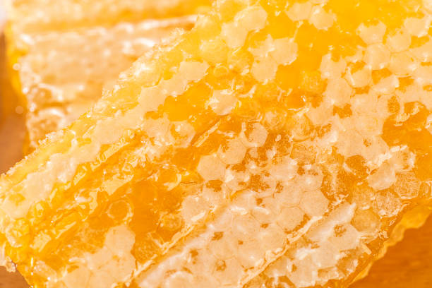 istock Honeycomb honey, close up 1081803076
