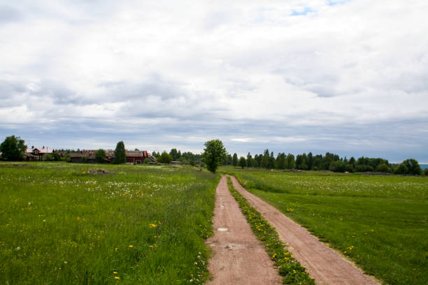 istock Rural road in Sweden 1081805936