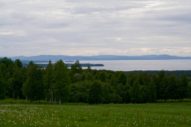 istock Lake landscape in Sweden 1081806032
