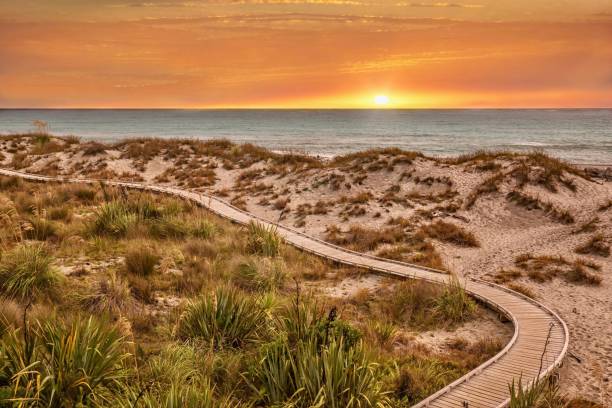 ein schöner sonnenuntergang natur szene mit einem schmalen holzsteg schlängelt sich durch grasbewachsenen sanddünen neben der tasmanischen see. am ship creek in der west coast region von neuseelands südinsel. - beach boardwalk grass marram grass stock-fotos und bilder