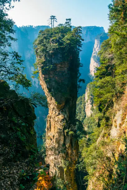 landscape of zhangjiajie national park,china