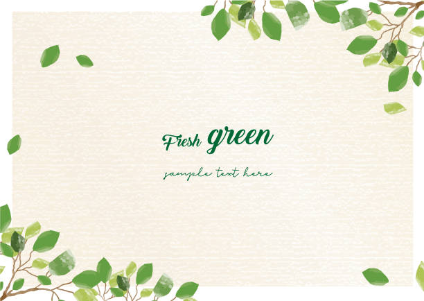 新鮮的綠色框架 - 樹葉 插圖 幅插畫檔、美工圖案、卡通及圖標