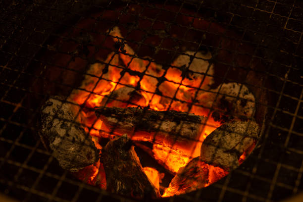 yakiniku, gegrillte japanische fleischgericht - vom holzkohlengrill stock-fotos und bilder