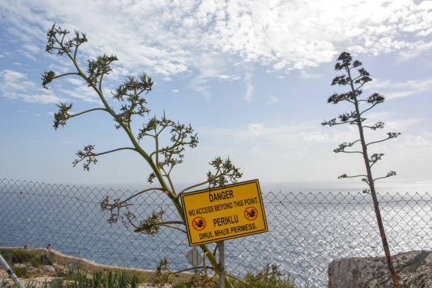 istock Blue grotto on Malta, Europe 1081826686
