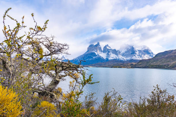 istock Torres del Paine National Park 1081828252