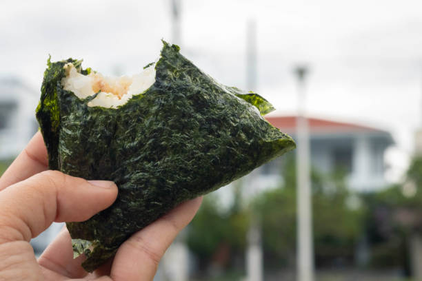 Onigiri With a Bite Taken
