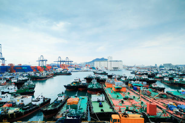 Cargo ship operations on container cargo terminal of Port of Busan stock photo