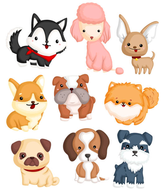 illustrazioni stock, clip art, cartoni animati e icone di tendenza di set di vettori di tipo cane - spitz type dog immagine