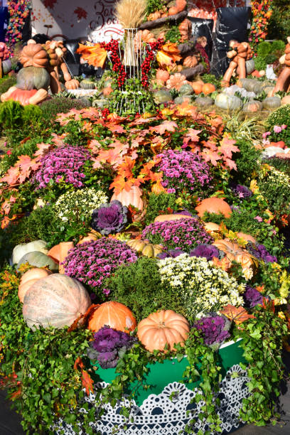 istock A pyramid of flowers, cabbage, pumpkins and plants 1081856062