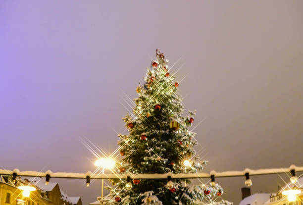 istock Christmas Market Erlangen Bavaria 1081860766