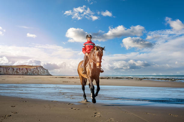 istock Beautiful rider on the beach 1081860776