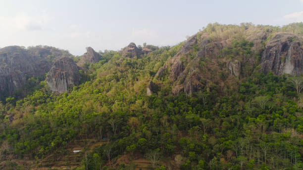 istock Mountain landscape Jawa island, Indonesia 1081866182