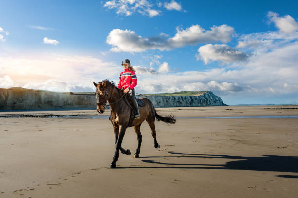 istock Beautiful rider on the beach 1081866474