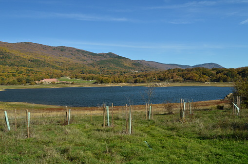 Nice Sunny Day To Enjoy From The Shore Of The Pajarero Reservoir.