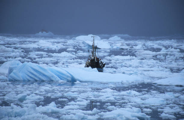 istock Fisherboat at sea with icebergs 1081874516