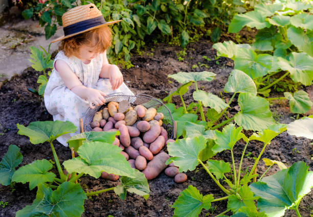Child in vegetable garden