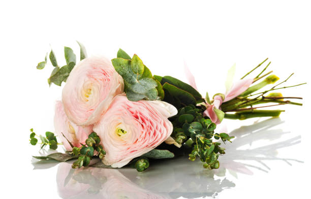 istock bunch of pale pink ranunculus 1081879786