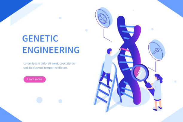 dna Genetic scientists edit DNA. Can use for web banner, infographics, hero images. Flat isometric vector illustration isolated on white background. genetics stock illustrations