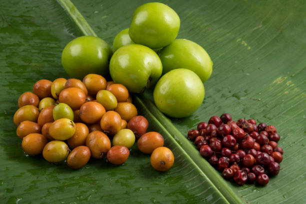 Fruit : Close up of  Different Varieties of Indian Jujube Apple Isolated on Green Banana   Leaf Background Shot in Studio High resolution image of jujube fruit isolated on green banana leaf background shot in studio. jujube fruit stock pictures, royalty-free photos & images