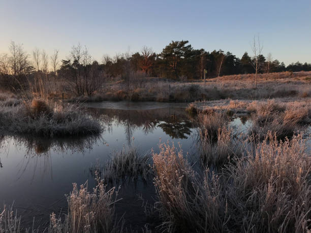 istock Mystic winter wetland 1081900282
