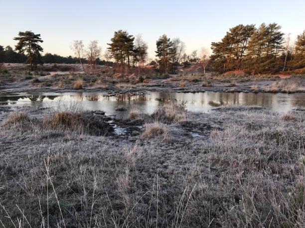 istock Mystic winter wetland 1081900362